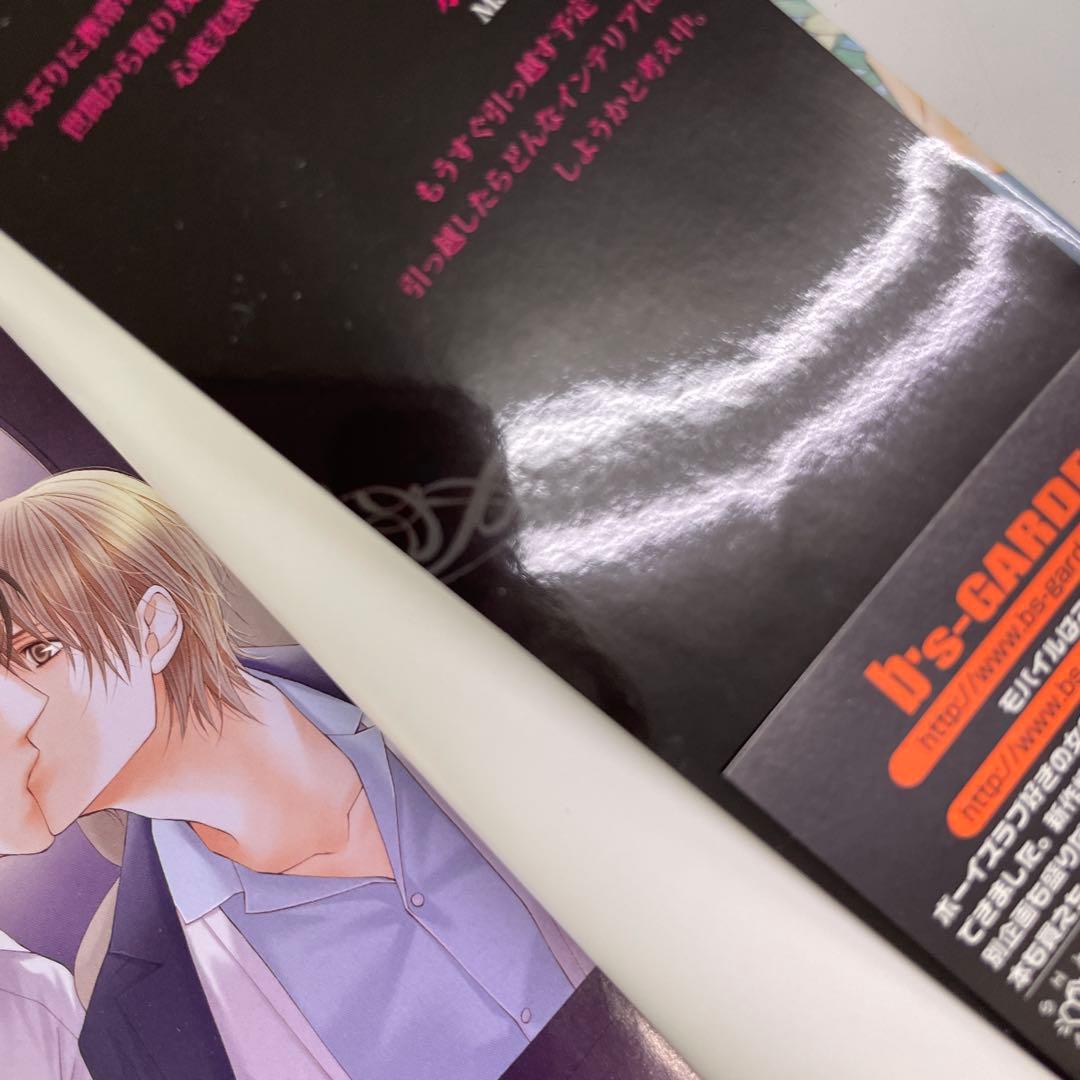 BL小説 ロマンス小説 23冊セット 夜光花 桐嶋リッカ はるの沙帆他