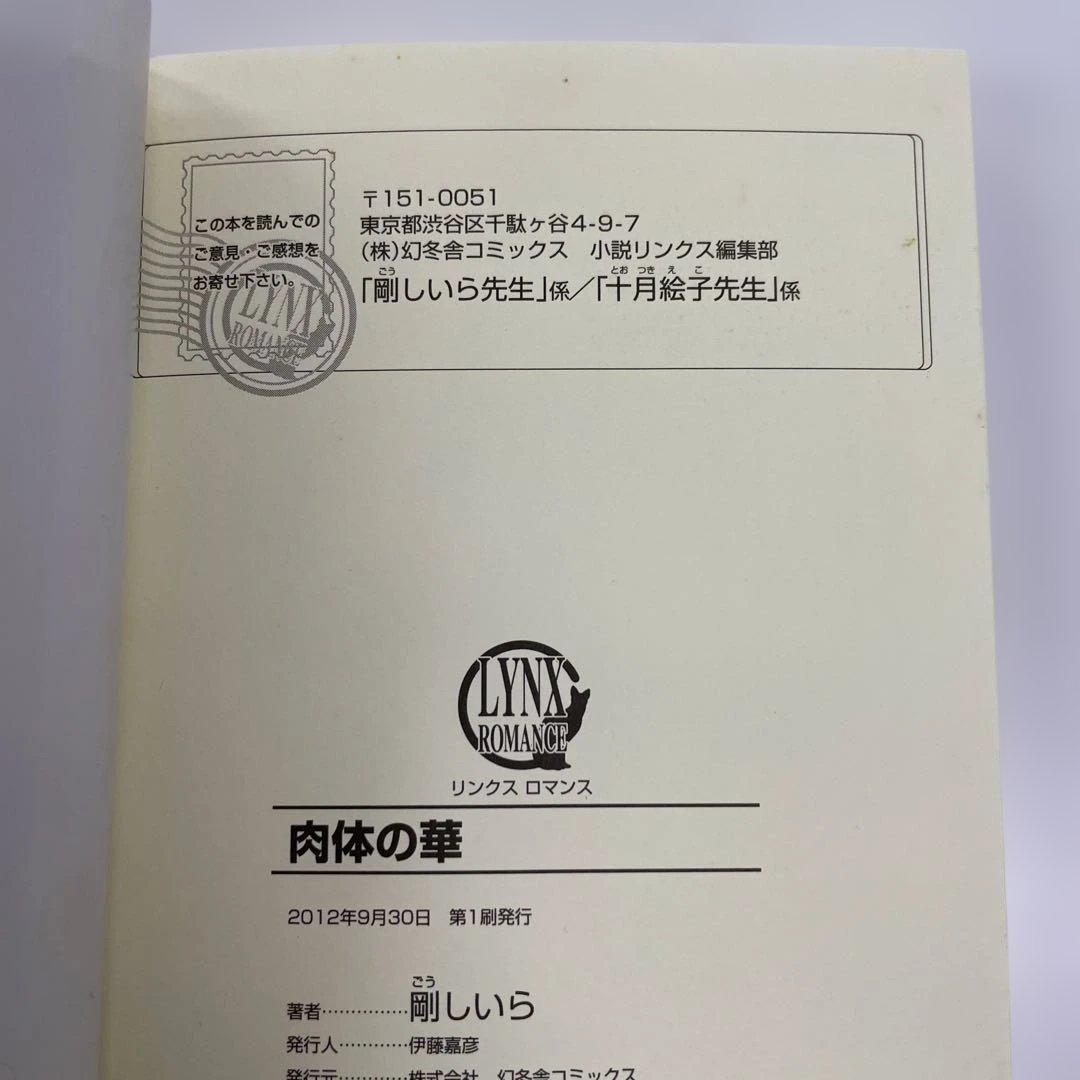 BL小説 ロマンス小説 23冊セット 夜光花 桐嶋リッカ はるの沙帆他