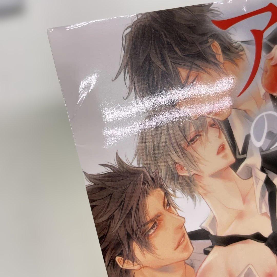 BL小説 ロマンス小説 23冊セット 夜光花 桐嶋リッカ はるの沙帆他
