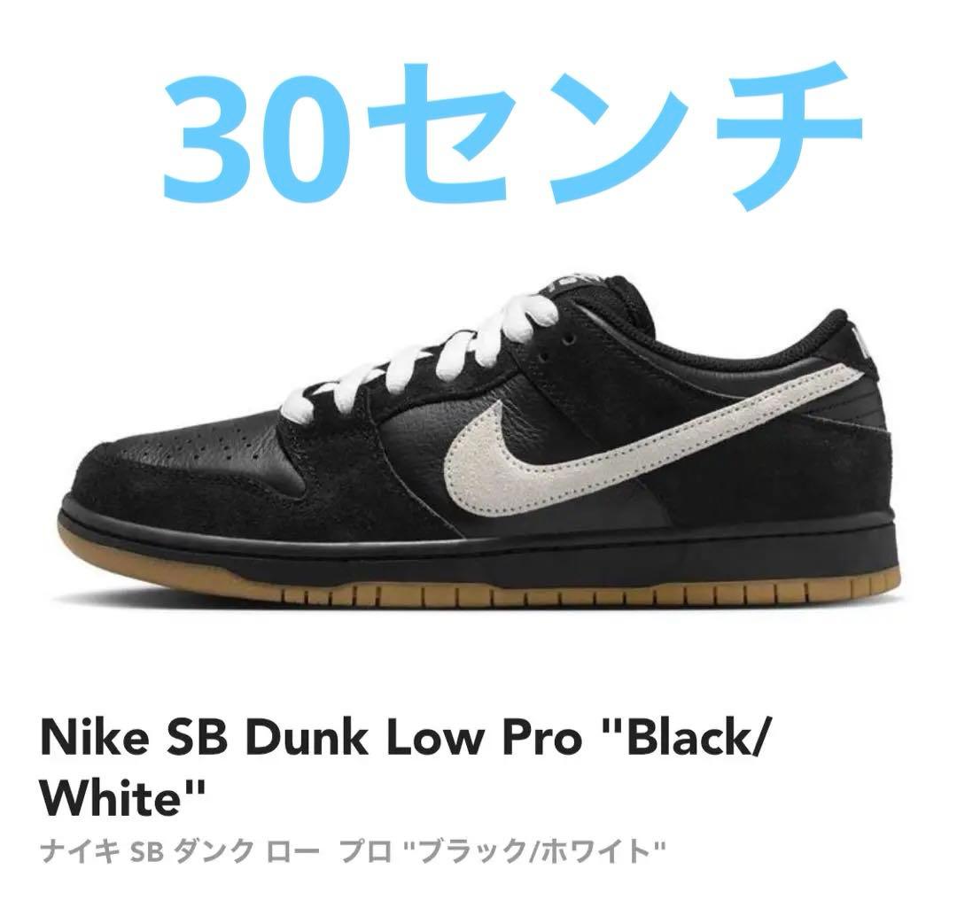 スケートボード Nike SB Dunk Low Pro \"Black/White\"