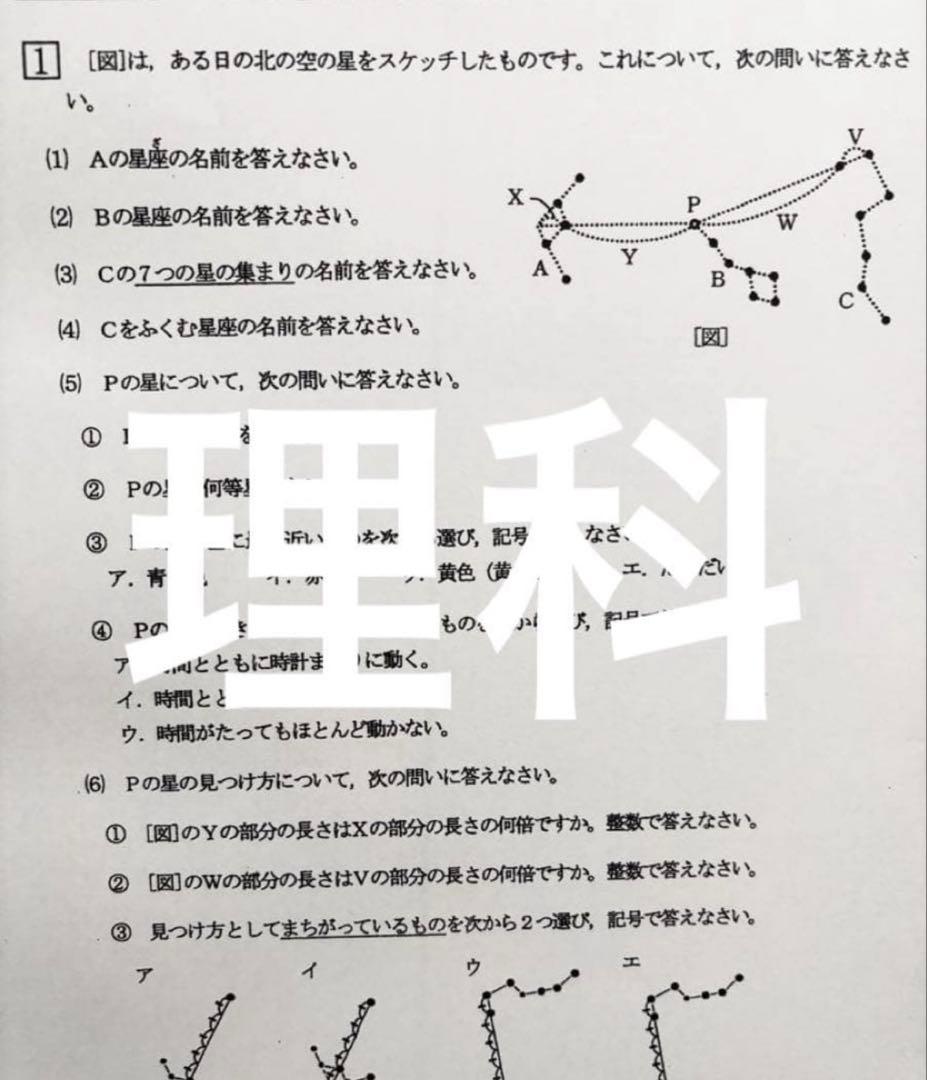 14143131様