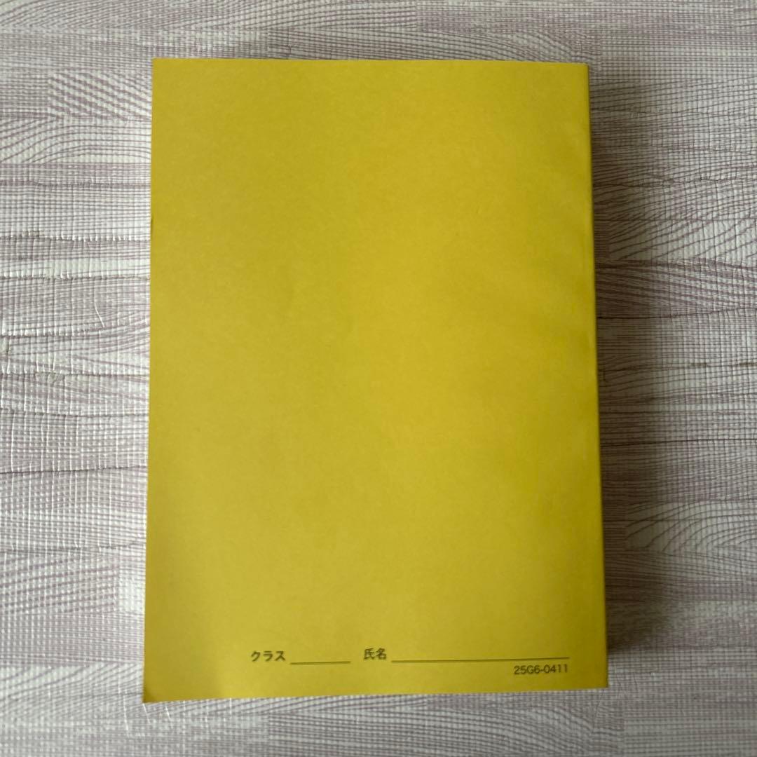 鉄緑会高3化学発展講座教科書(問題集付き)