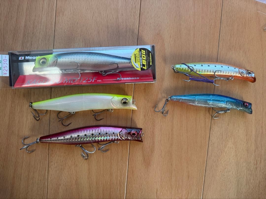 カゲロウ 5本セット