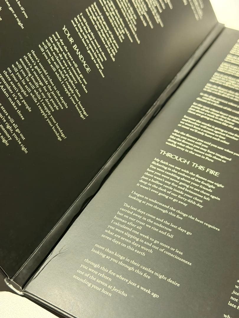 新品未使用 THE MOUNTAIN GOATS 直筆サイン LP