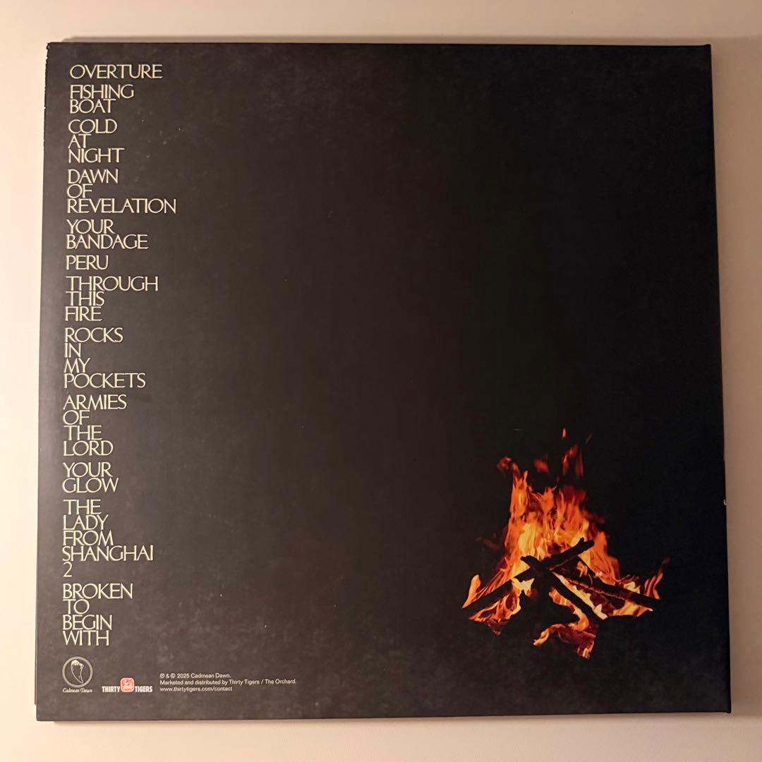 新品未使用 THE MOUNTAIN GOATS 直筆サイン LP