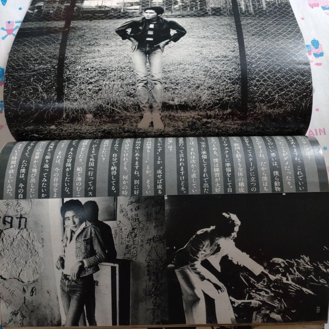 mcSister　１９７６年１１月　郷ひろみ　原田治　黒沢浩　mc sister