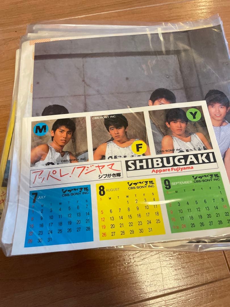 大量！！シブがき隊　SHIBUGAKITAI 1980年代　レコードまとめ売り