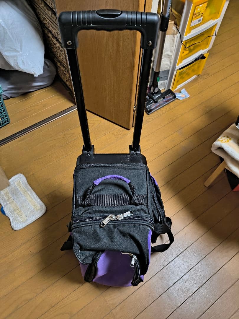ABS ボウリングバッグ2個用　大変綺麗!! シューズも2足入れられます