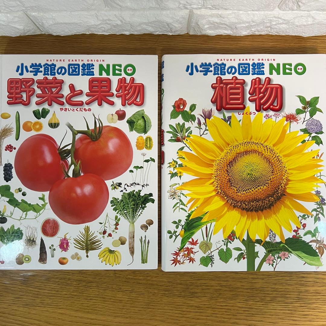 小学館の図鑑NEO・NEO＋ 10冊セット まとめ売り