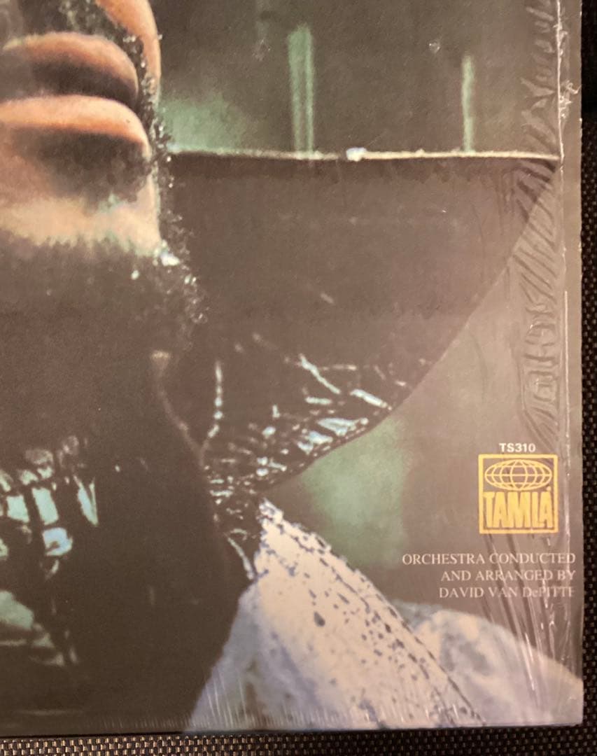 洋楽 MARVIN GAYE /WHAT'S GOING ON TAMLA TS310