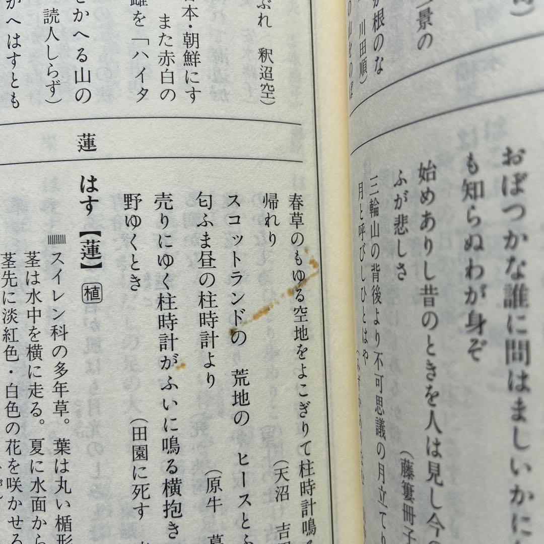 日本歌語事典 佐佐木幸綱 杉山康彦 林巨樹 編