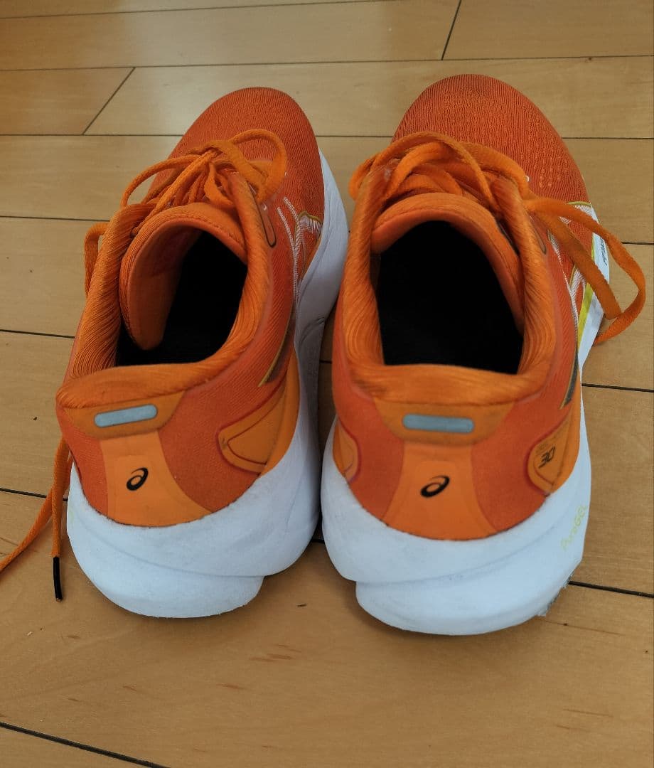 アシックス　ASICS　GEL-KAYANO　ゲルカヤノ30 26.0cm