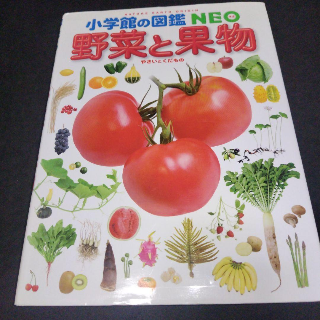 小学館の図鑑NEOシリーズ 学習図鑑 7冊セット