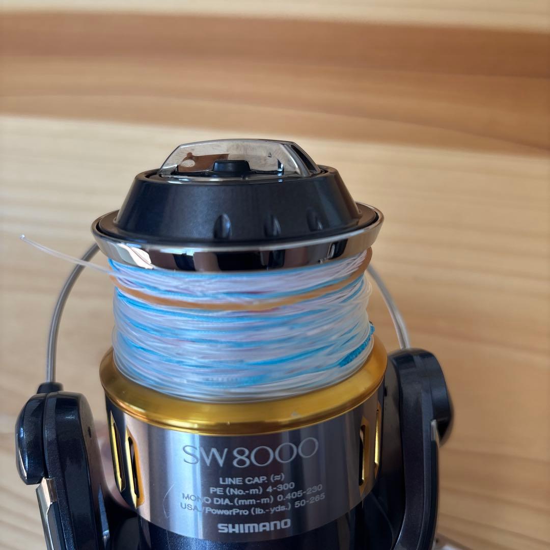 15ツインパワーsw 8000hg オーバーホール済み