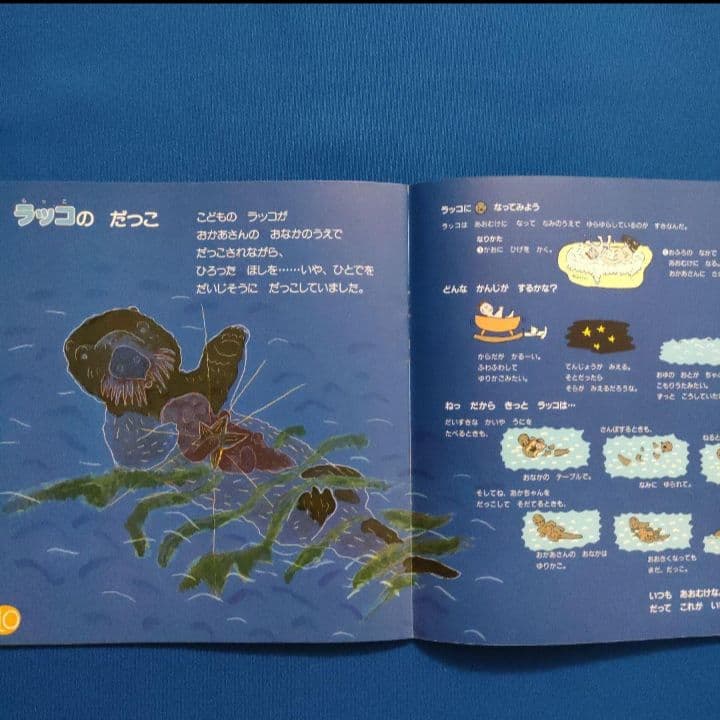 かがくのとも　あべ弘士さんのどうぶつえんガイド　4冊セット　福音館