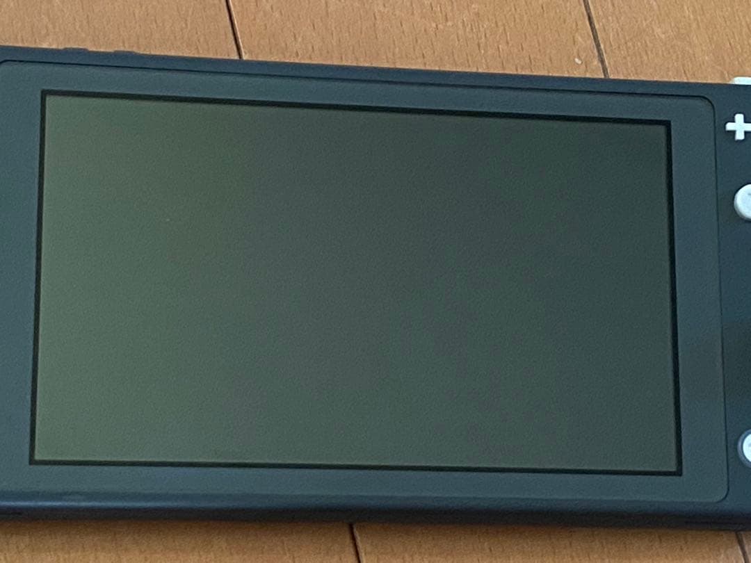 Nintendo Switch Lite グレー 本体　※ジャンク品