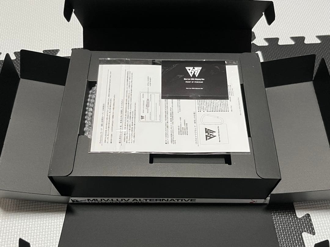 マブラヴ　Switch版　Odyssey Box 物理特典のみ