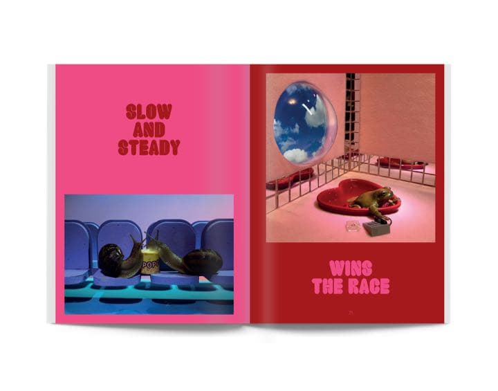 アート・デザイン・音楽 Snail World: Life in the Slimelight Book