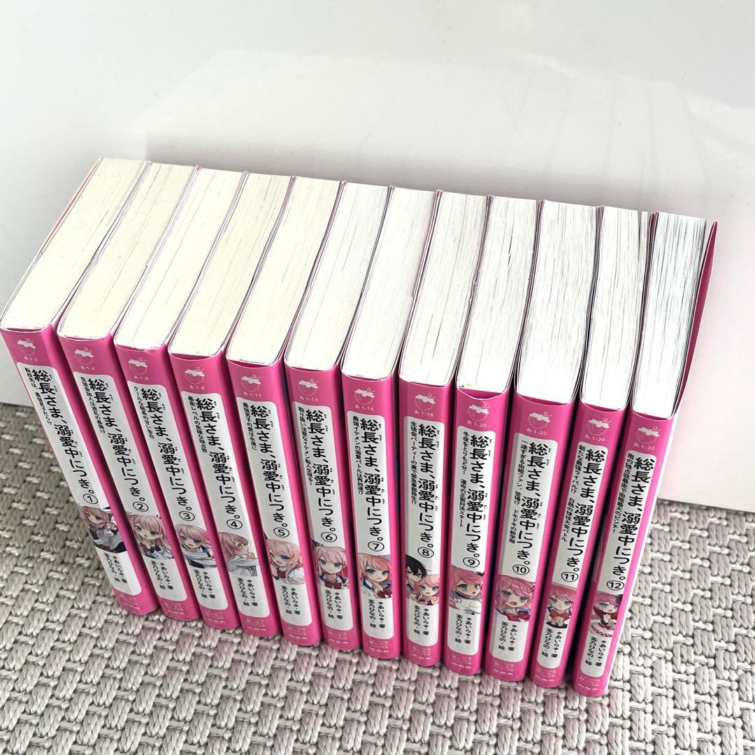 総長さま、溺愛中につき。1〜12巻セット 小説 茶乃ひなの ＊あいら＊ スターツ