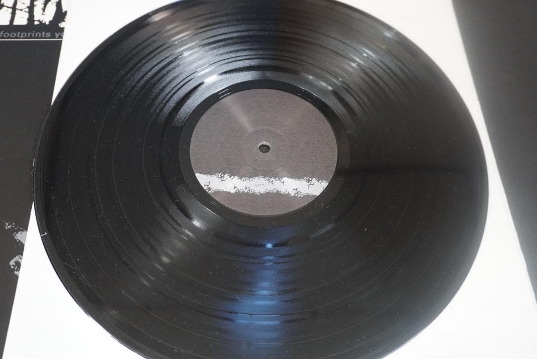 A*9様 ENVY/エンヴィー 　アナログレコード２枚セット