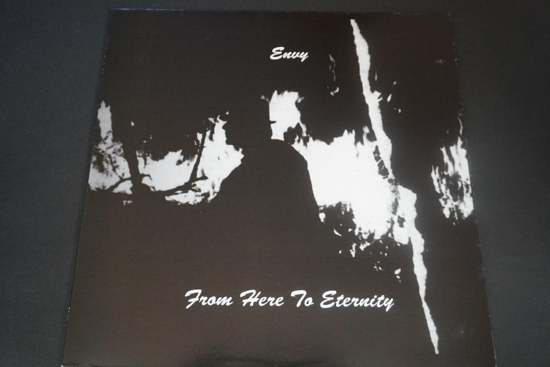 A*9様 ENVY/エンヴィー 　アナログレコード２枚セット