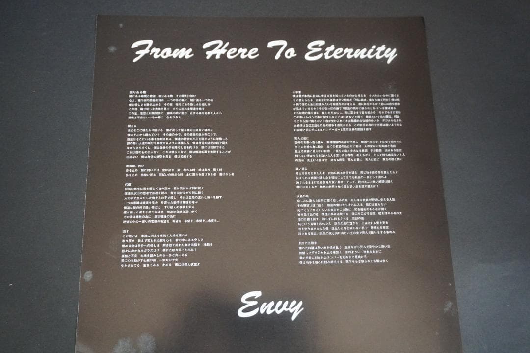 A*9様 ENVY/エンヴィー 　アナログレコード２枚セット