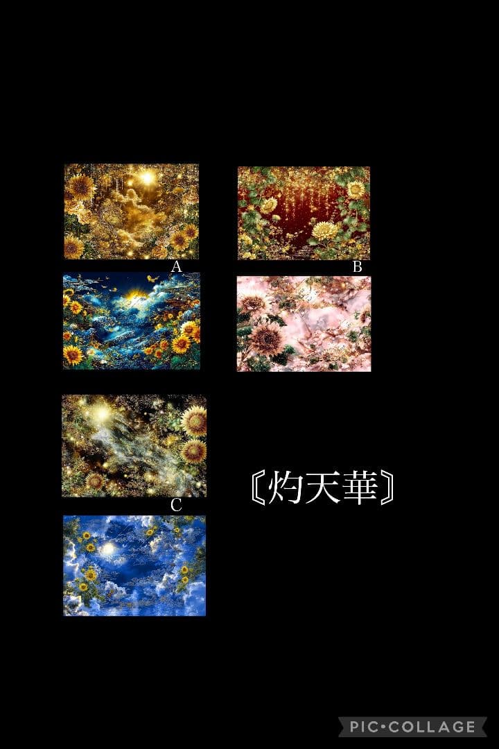 キャンディキャンディ