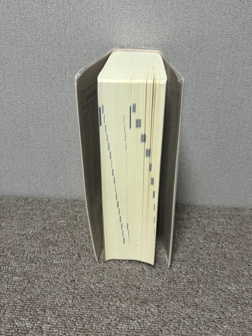 中日・日中辞典 : 繁体字版