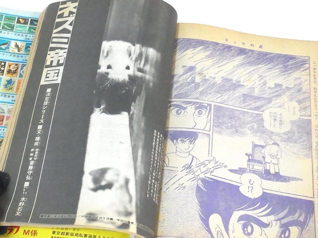 週刊少年マガジン 1970年34号 横尾忠則 表紙 ドラキュラ 希少昭和レトロ