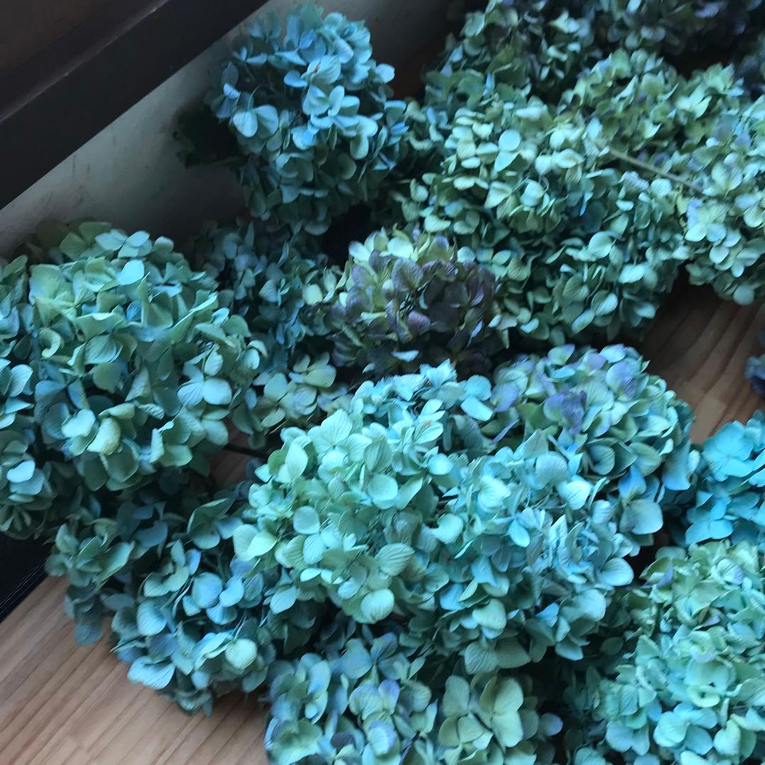 紫陽花ドライフラワー 平置き80cm×45cm E6