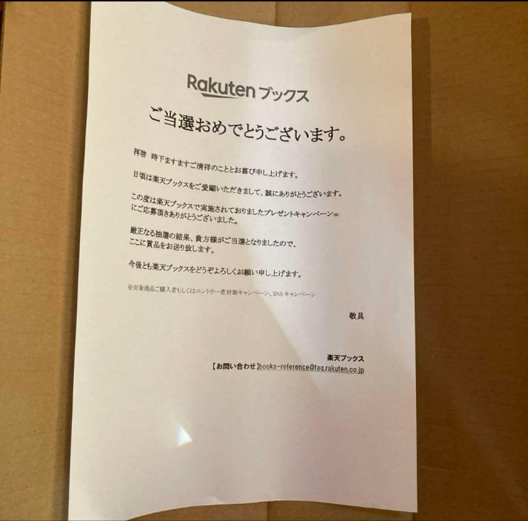 専用　ルノワール　ポスター　B2