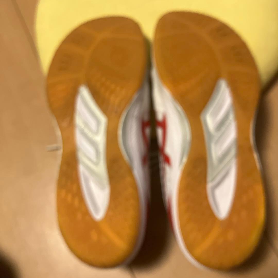 ASICS Japan バレーボールシューズ ホワイト/レッド　26.0