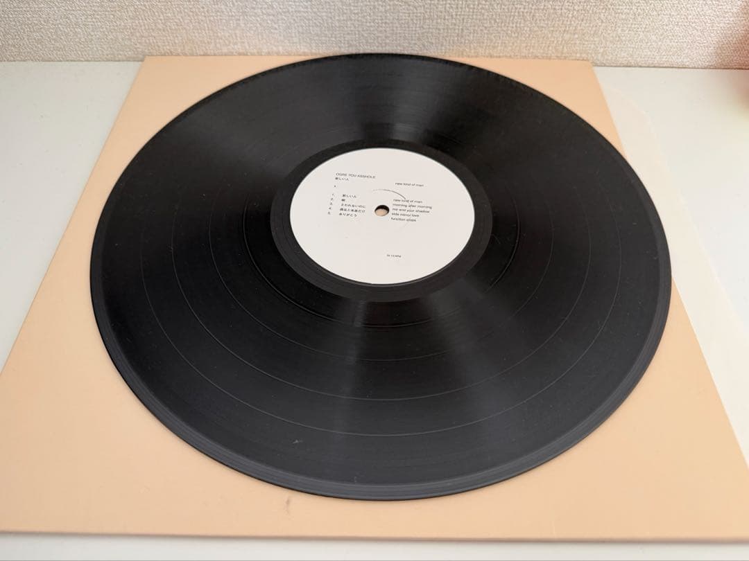 ogre you asshole 新しい人 レコード 廃盤LP