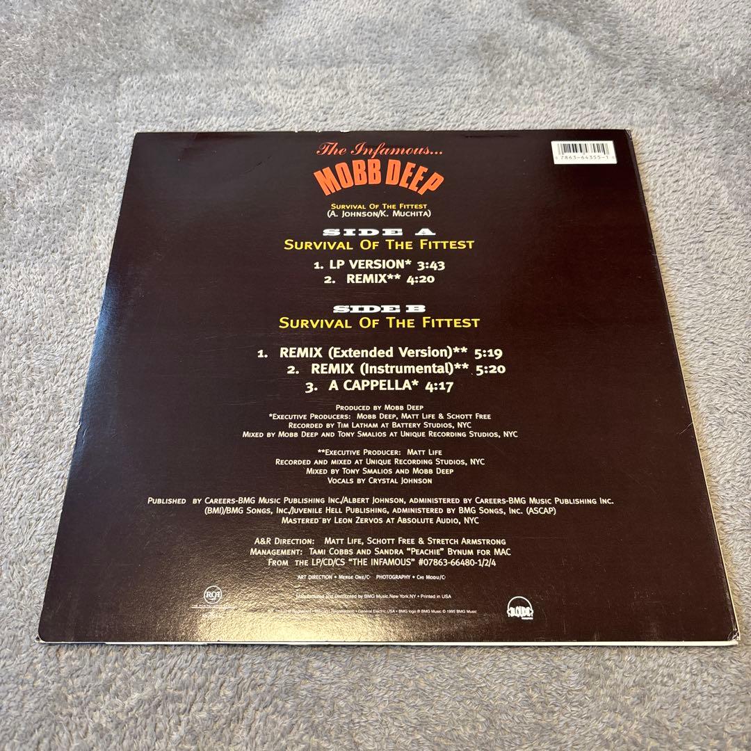 洋楽 MOBB DEEP SURVIVAL OF THE FITTEST
