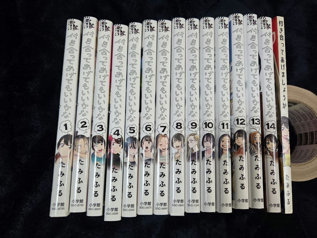 付き合ってあげてもいいかな 全巻+付き合ってあげましょうか 小学館