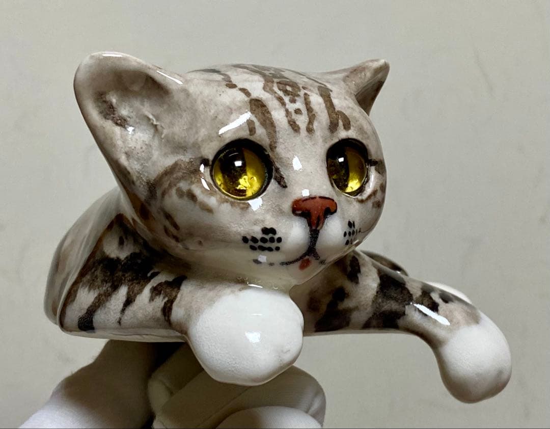 ウィンスタンレイキャット　ケンジントンキャット　ベンガル猫　貫入無し　サイズ2