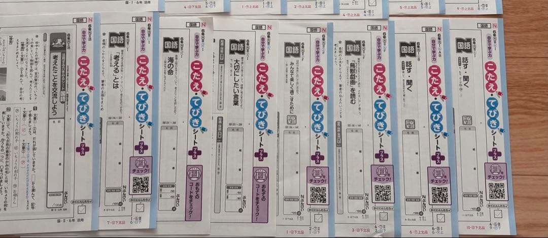 こたえてびきシート　Nぶんけい　国語　6年生　カラーテスト　６年生　解答　テスト