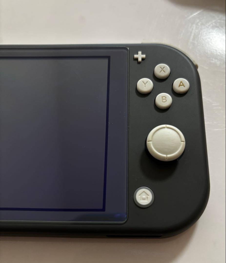 Nintendo Switch Lite ケース＋カバー付