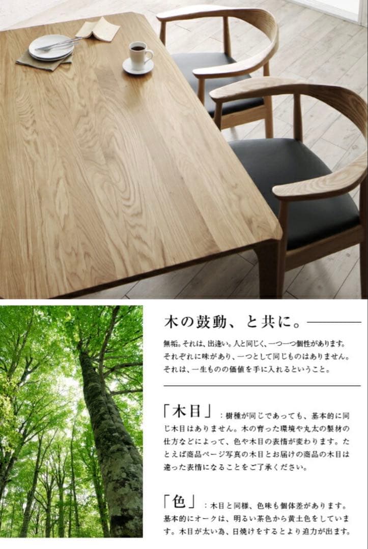 北欧 ダイニングテーブル テーブルのみ、