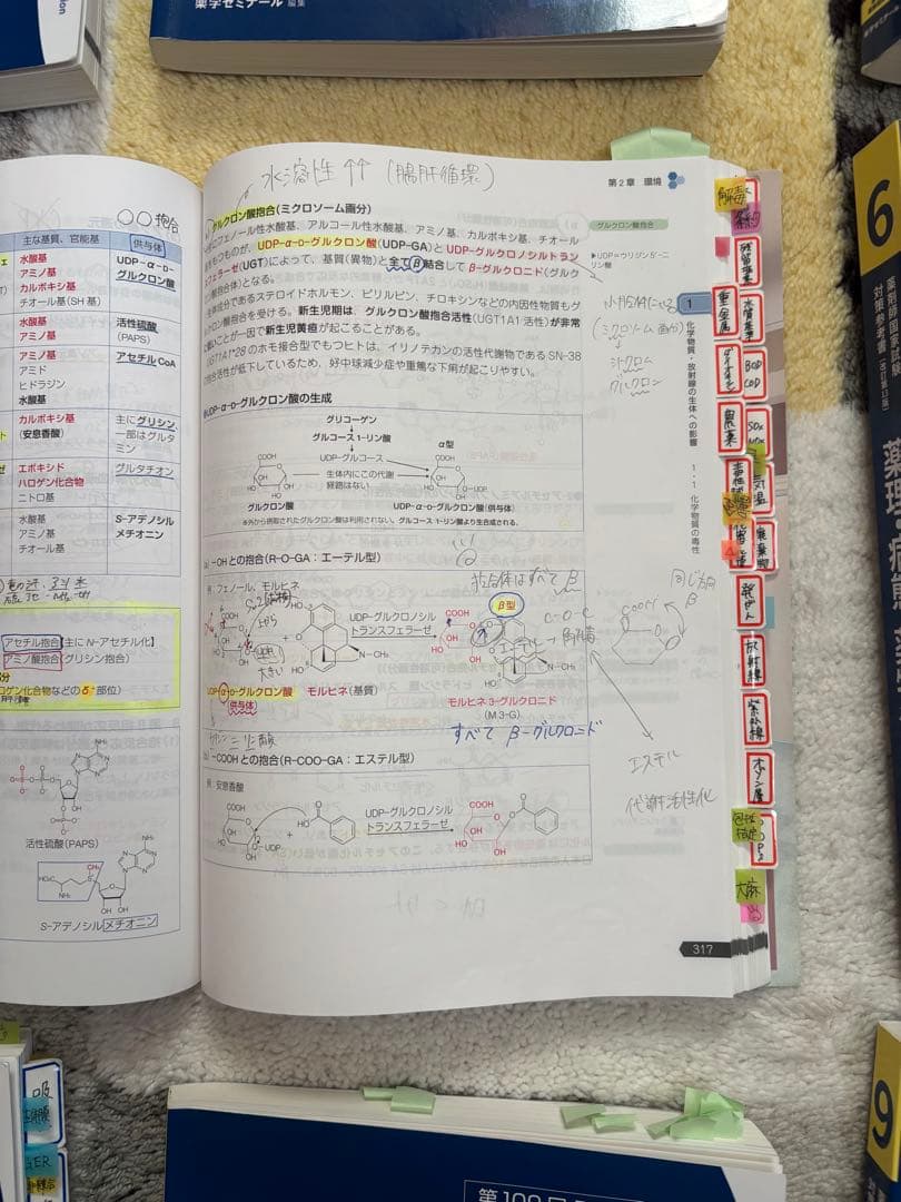 第109回薬剤師国家試験対策参考書の全巻セット　薬ゼミ講義の書き込み有り