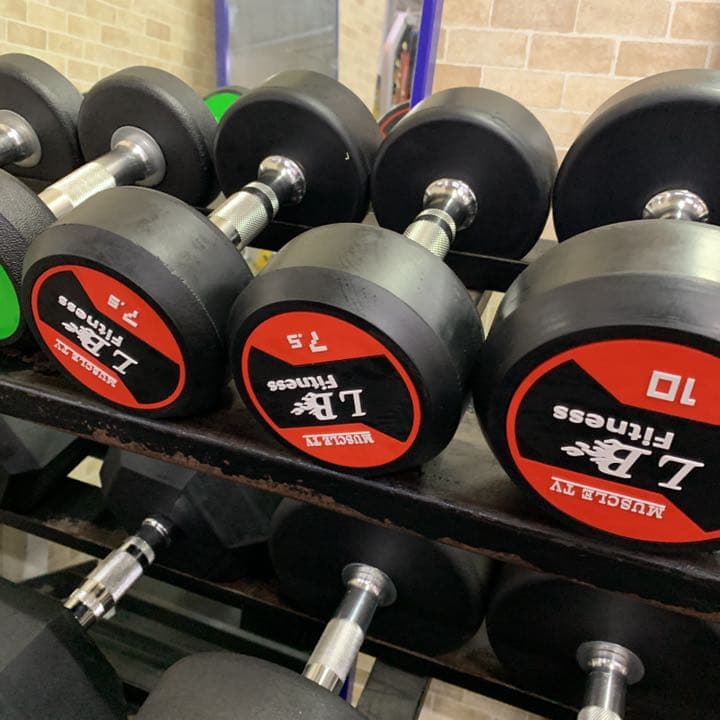 ラバーラウンドダンベル  22.5kg 2個