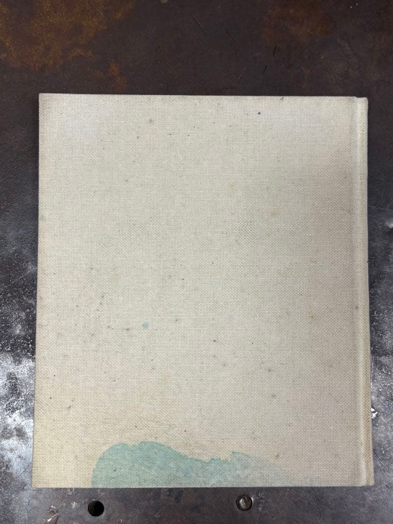 Sigur ros Hlemmur シガーロスリミテッド版 CD DVD