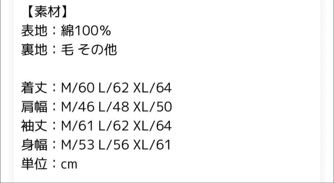 Lee リー ストームライダー