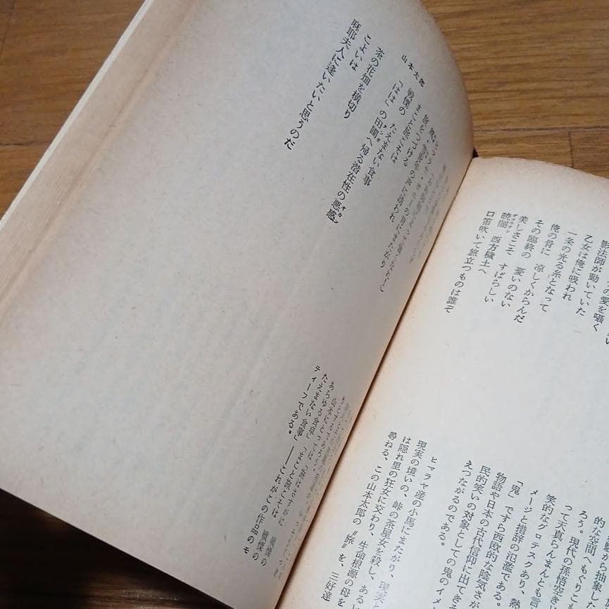 ＊絶版　戦後の詩　〈現代〉はどう表現されたか　安西均
