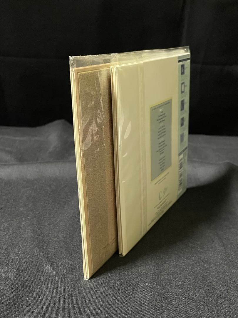 ダン・フォーゲルバーグ 紙ジャケ フェニックス & イノセント・エイジ 美品