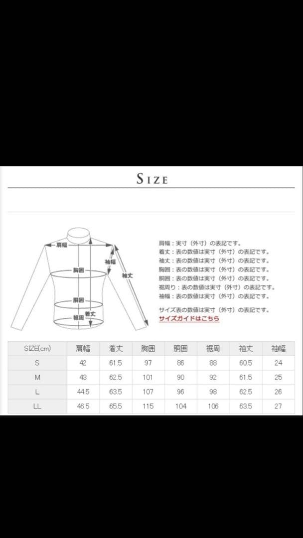 666 ルイスレザー　サイクロンと同じ形式のライダース　Lサイズ