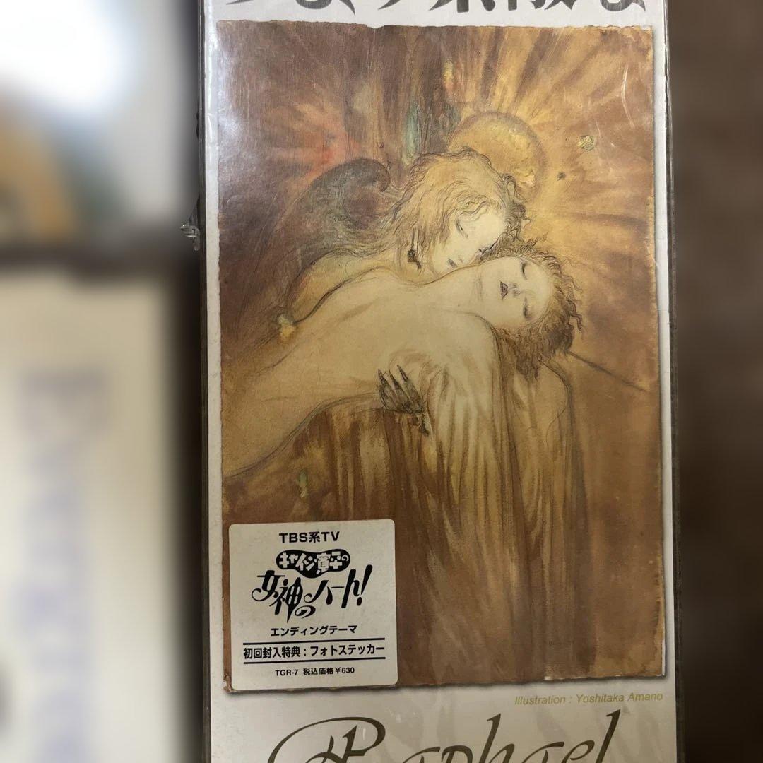 ヴィジュアル系 Raphael CDまとめ売り