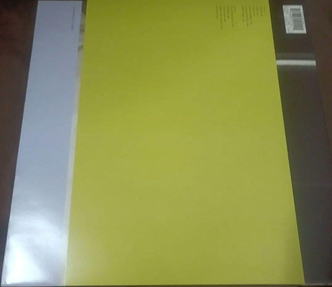 洋楽 unbelievable truth almosthere LP