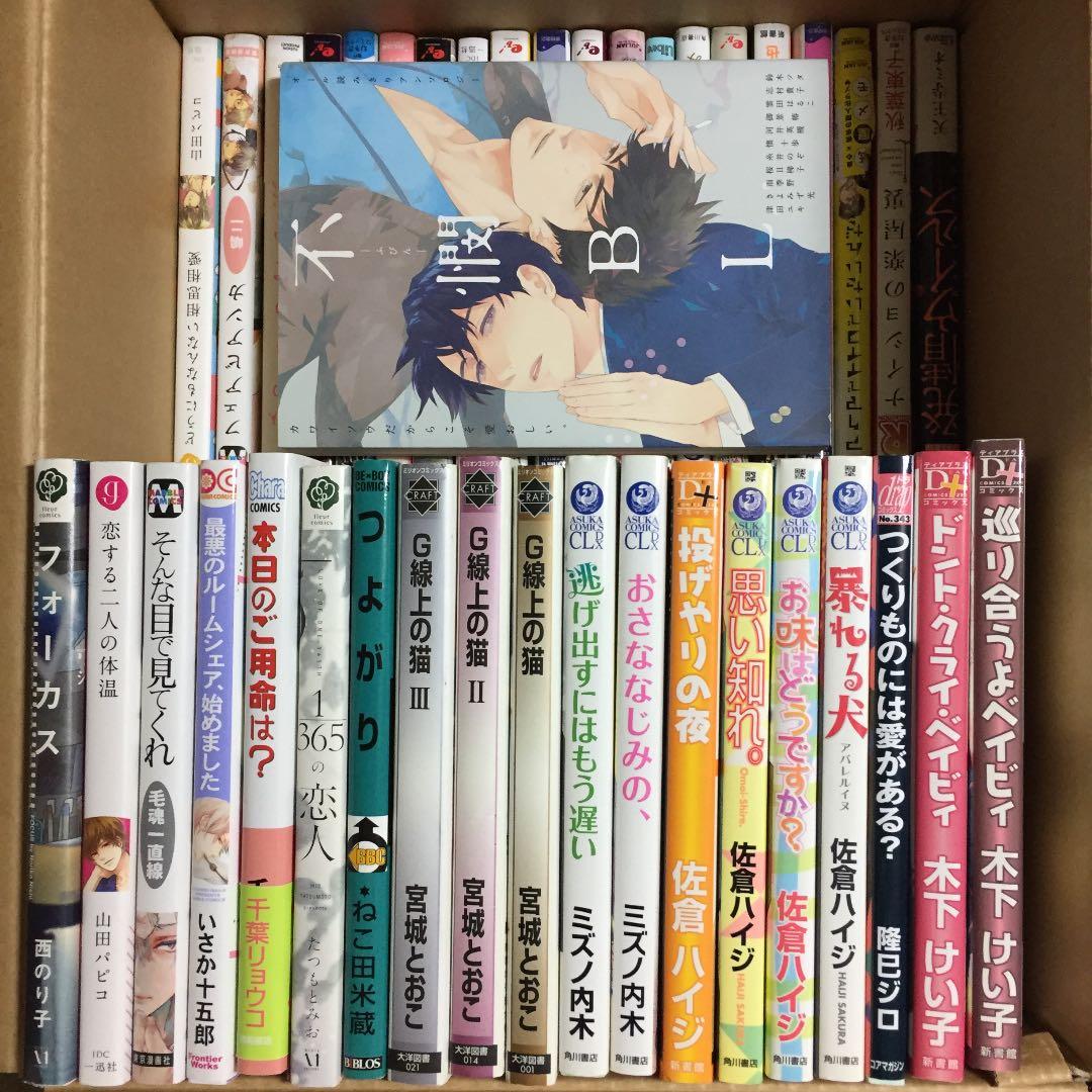 商業BL60冊 大量