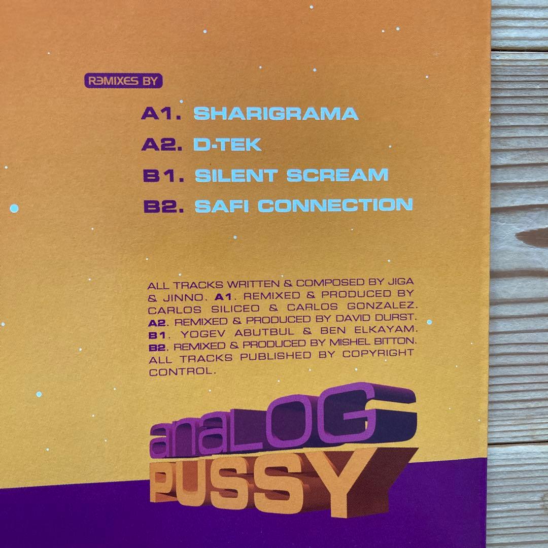 2004 ‎ Analog Pussy 2枚セット DEEP PURPLEネタ